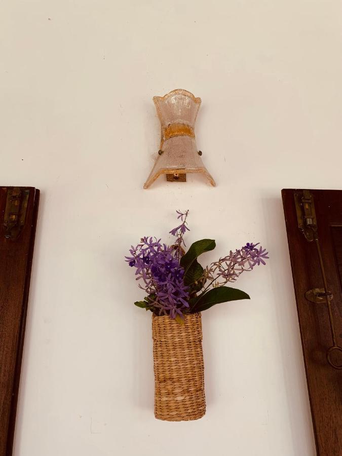 Stuart House タンガラ エクステリア 写真